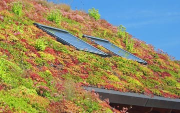 Grimscott living roof systems