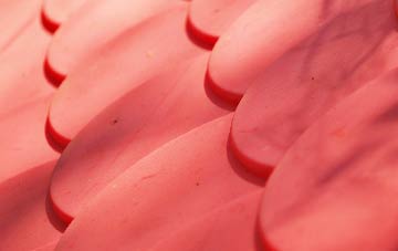 Grimscott plastic roof costs