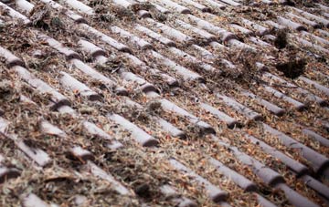 Grimscott roof cleaning companies