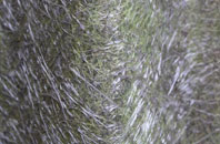 Grimscott fibreglass roof work